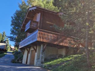 Chalet familial avec cheminée à La Plagne, proche station - FR-1-755-7 - 2