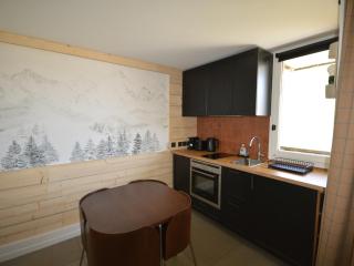 Studio rénové au pied des pistes avec balcon et cuisine équipée - FR-1-755-9 - Aime-la-Plagne - 3