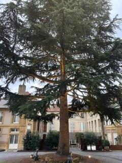 La cour de la Trésorerie - 3