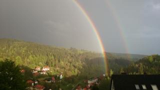 Pension Talblick Bad Grund - 6