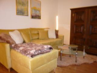 Sport-Alpin-Wohnung-110 - Oberstdorf - 1
