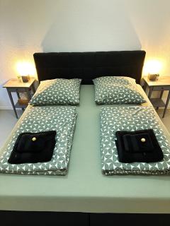 Moderne FeWo in HDZ&Klinik Nähe - 6