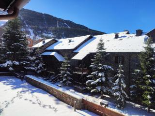 AC Apartaments Tarter Chalet - El Tarter - 5