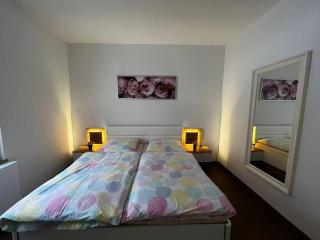 Apartment Conan - Auerbach/Vogtland - 4