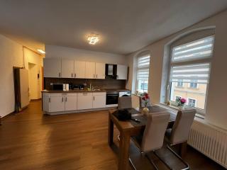 Apartment Conan - Auerbach/Vogtland - 3