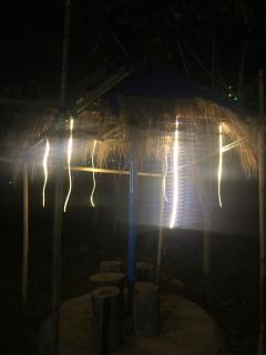 Serenity Home - Nowgong - 9
