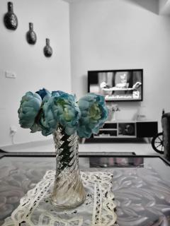 Three Bed Attached Bath Netflix Wifi Smart TV Parking Near Airport - Islamabad - 1