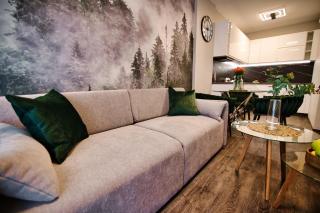 Laguna Beskidów Resort - Apartament Forest - 9