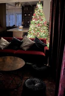 Boutique Villa Gyula - 5