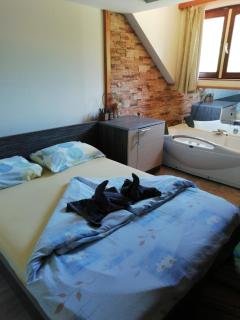 Ski hotel DOBRODOLAC - Kopaonik - 7