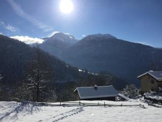 Chalet au cœur de la haute Tarentaise - 1