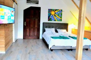 Vila Eruga- Apartament 3 - Poiana Mărului - 7