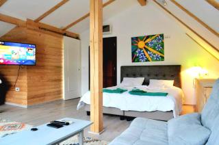 Vila Eruga- Apartament 3 - Poiana Mărului - 6