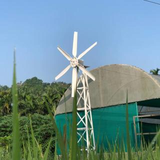 Royad Calicut Farm House - Premium Villa with Pool Inside a Farm - Kozhikode - 3
