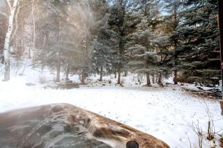 Elk Lane 61B - Avon - 9