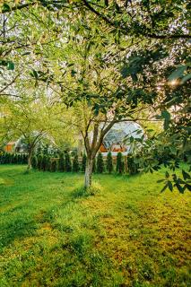 Velipay Gayrimenkul kiralama - Sapanca - 1
