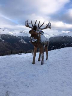 Chalet Crans-Montana - Crans-Montana - 1
