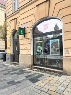 New studio in quiet part of the city center - Bratislava - 4