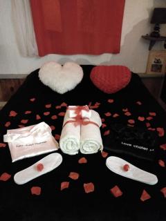 LE LOVE CHALET DES ALPES - Guillestre - 9