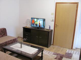 Apartment SAFIR - Free parking - Sarajevo - 2