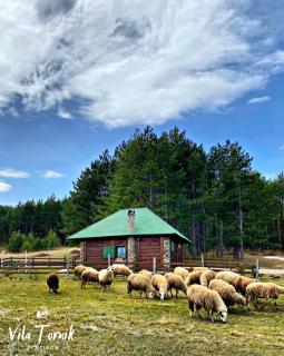Vila Mali Tornik - Zlatibor - 7