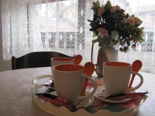 Apartment SAFIR - Free parking - Sarajevo - 5