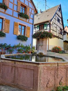 Gîte Entre Vignes et Vergers maison historique - Gueberschwihr - 3