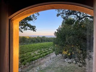 Domaine Dupaïs, 15 min du centre d’Aix en Provence - Aix-en-Provence - 5