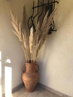 La maison des Sources - Salon-de-Provence - 7