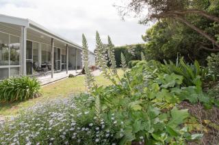 The Pelican Shed - 5