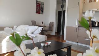 Allurian Apartment - City kvart - Podgorica - 5