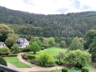 Wohnwerk Suite Moselblick - Traben-Trarbach - 9