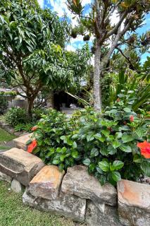 Avalon Beach Cottage- The Islander - 1