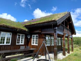 Bjørnebuhytten - Geilo - 13 sengeplasser - Privat Jacuzzi - Elbillading - Geilo - 3