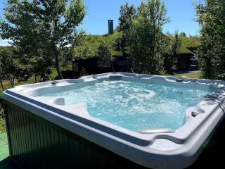 Bjørnebuhytten - Geilo - 13 sengeplasser - Privat Jacuzzi - Elbillading - Geilo - 0