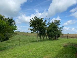 Country Cottage on Large Ky Farm - 8
