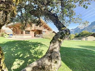 Duplex neuf avec terrasse face au Mont Blanc, 3 chambres et mezzanine, à 3 km du centre de Combloux - FR-1-560-65 - Combloux - 6