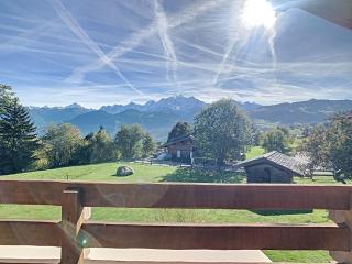 Duplex neuf avec terrasse face au Mont Blanc, 3 chambres et mezzanine, à 3 km du centre de Combloux - FR-1-560-65 - Combloux - 9