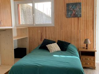 Charmant T3 rénové, 8 pers, proche centre, balcon sud, garage pour skis/vélos, animaux non admis - FR-1-761-4 - Villard-de-Lans - 1