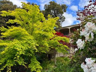 Lumeah - Servant Quarters - Hobart - 9