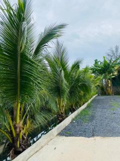 Jhen House - Nai Yang Beach - 6