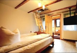 Vila Eruga- Apartament 2 - Poiana Mărului - 3