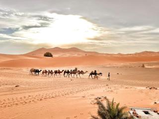 Riad Akabar Merzouga - Merzouga - 1