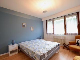 Charmant appartement proche du lac avec Wi-Fi et parking à Évian-les-Bains - FR-1-498-96 - Évian-les-Bains - 7