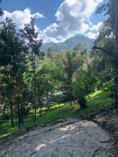 Wishing Star Cottage - 0