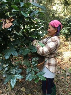 Wishing Star Cottage - 3