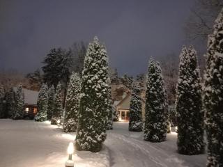 Forest Edge House - 6