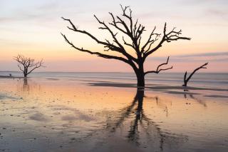 The Gathering Place - Charleston - 5