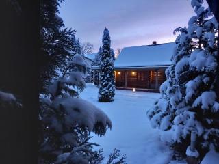 Forest Edge Lodge - Riga - 3