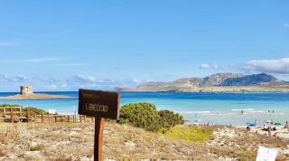 Villas with air conditioning and shared pool, just a few minutes from La Pelosa beach - Cuile Pazzoni - 3